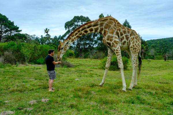 Great Kei Local, South Africa