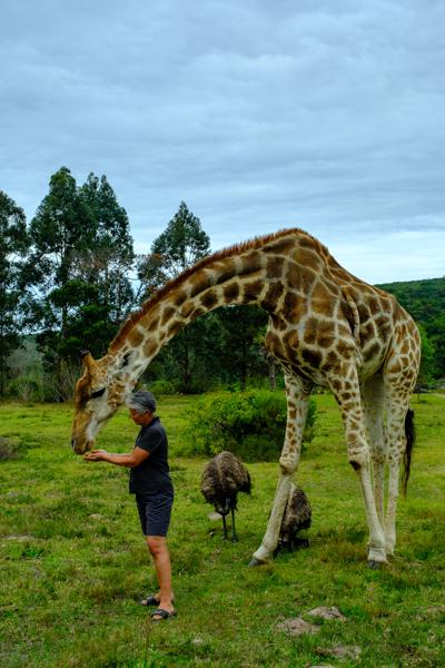 Great Kei Local, South Africa