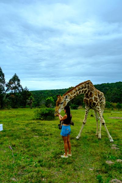 Great Kei Local, South Africa