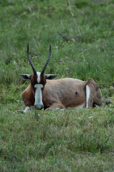 Great Kei Local, South Africa