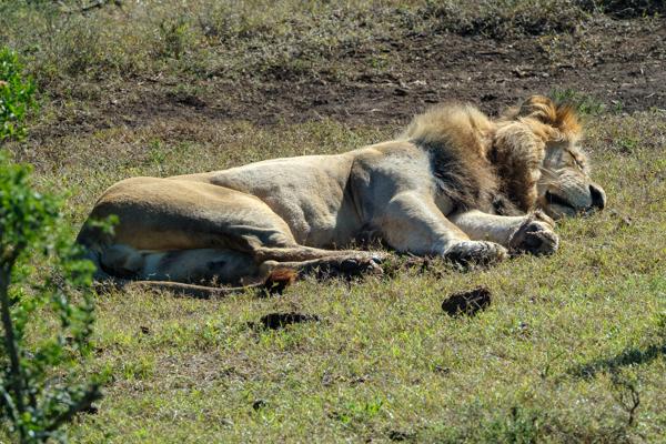 Sundays River Valley Local, South Africa