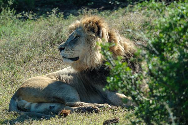 Sundays River Valley Local, South Africa