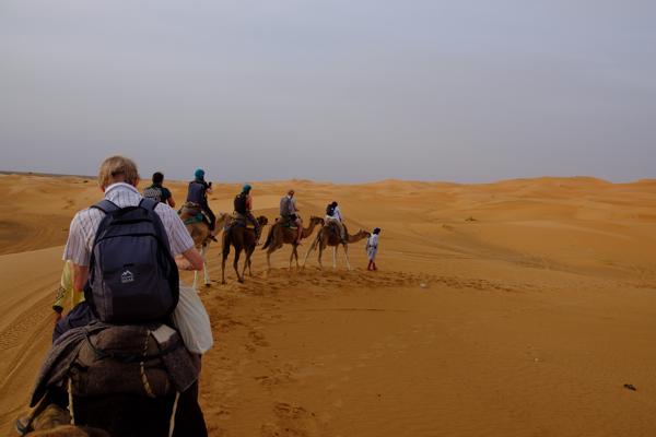 Et-taous ⵟⴰⵡⵙ الطاوس, Morocco