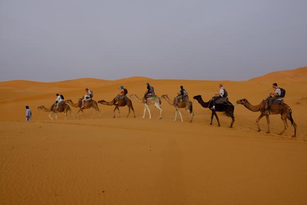 Et-taous ⵟⴰⵡⵙ الطاوس, Morocco