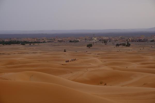 Et-taous ⵟⴰⵡⵙ الطاوس, Morocco