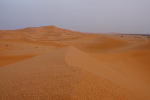 Et-taous ⵟⴰⵡⵙ الطاوس, Morocco