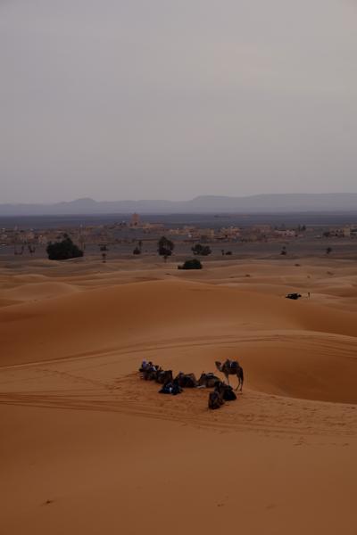 Et-taous ⵟⴰⵡⵙ الطاوس, Morocco