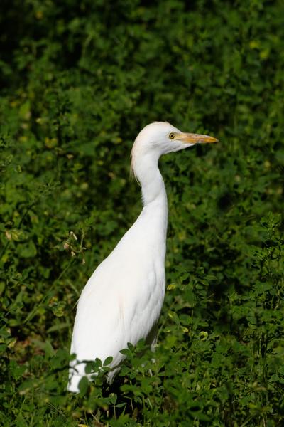 Toudgha El Oulia, Morocco