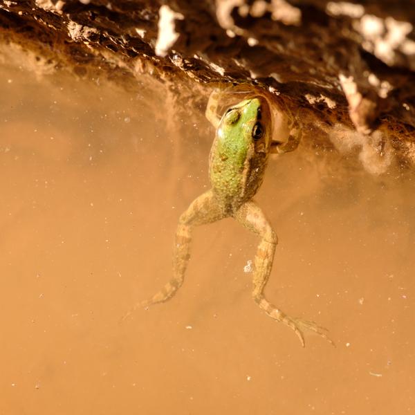 Toudgha El Oulia, Morocco