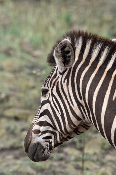 Moses Kotane Local, South Africa