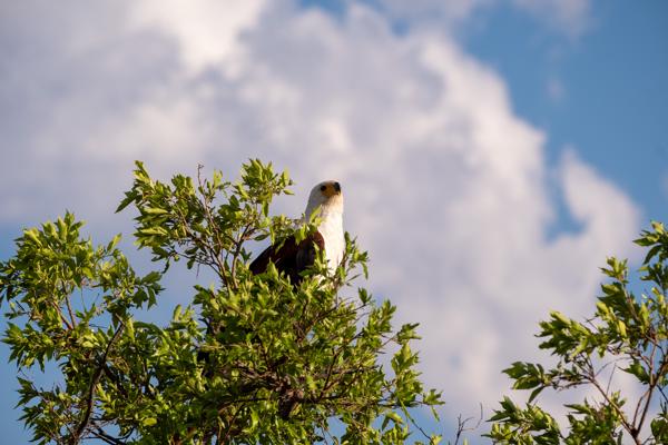 Moses Kotane Local, South Africa