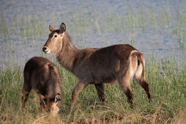 Moses Kotane Local, South Africa