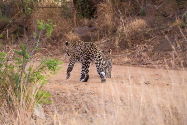 Moses Kotane Local, South Africa