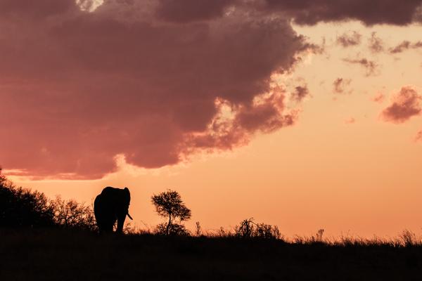 Moses Kotane Local, South Africa
