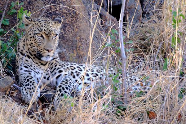 Moses Kotane Local, South Africa