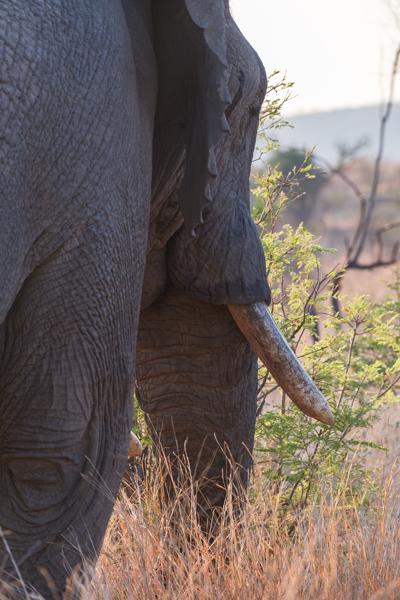 Moses Kotane Local, South Africa