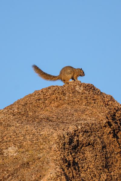 Moses Kotane Local, South Africa