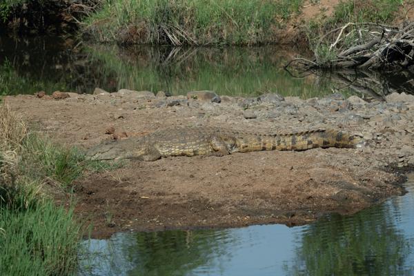 Moses Kotane Local, South Africa