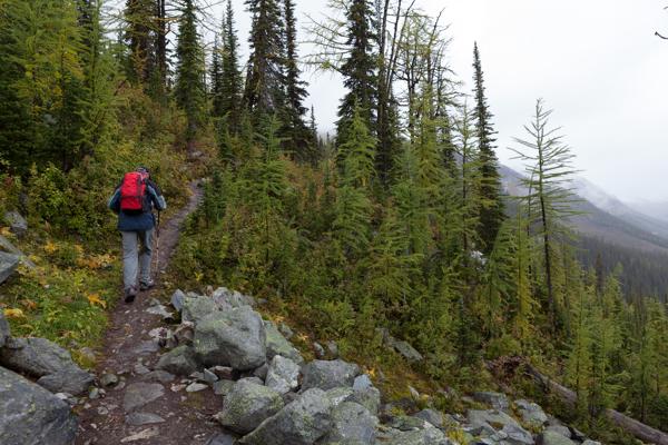 Area F (Columbia Lake/Windermere Lake), Canada