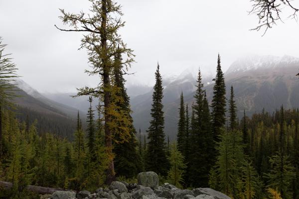 Area F (Columbia Lake/Windermere Lake), Canada