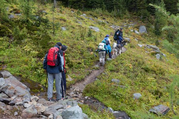 Area F (Columbia Lake/Windermere Lake), Canada