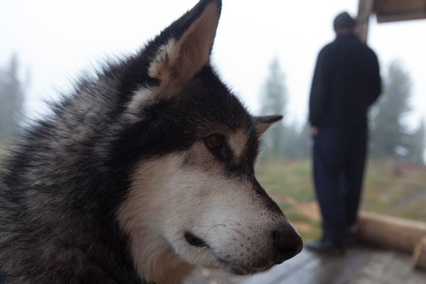 Area F (Columbia Lake/Windermere Lake), Canada