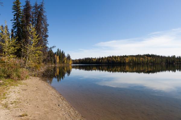 Area G (Crooked River/Parsnip), Canada