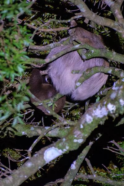 Cabeceras, Costa Rica