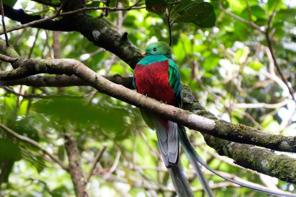 Monteverde, Costa Rica