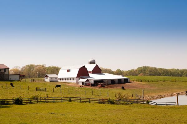 Level, United States