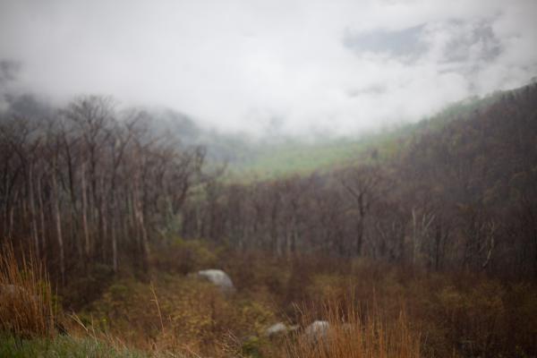 Warren County, United States