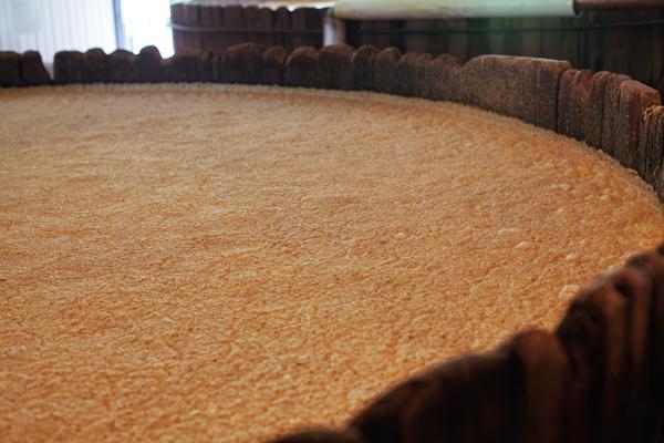 Burkes Spring, United States