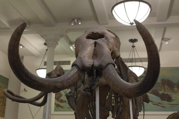 New York, United States