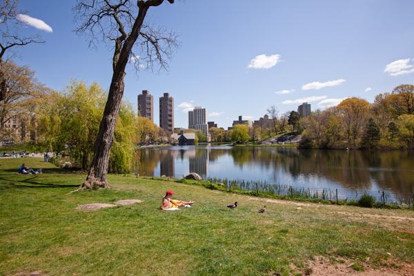 New York, United States