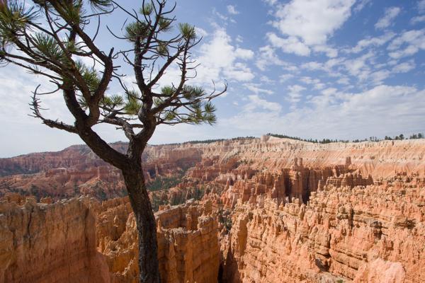 Garfield County, United States