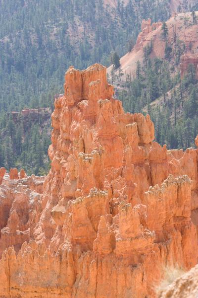 Garfield County, United States
