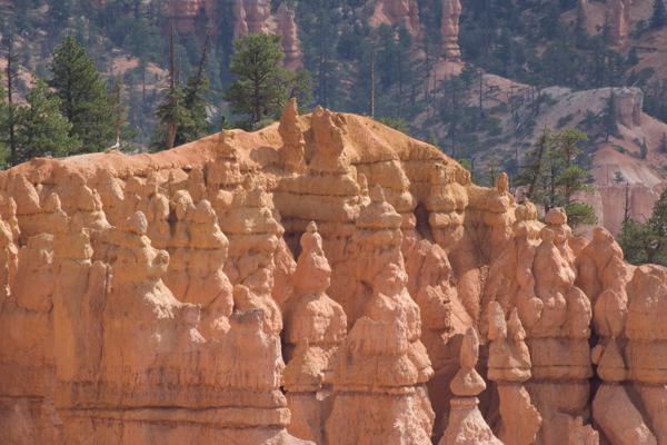 Garfield County, United States