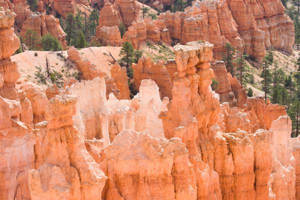 Garfield County, United States