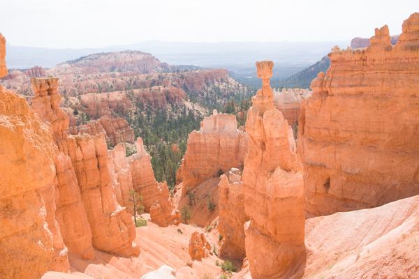 Garfield County, United States