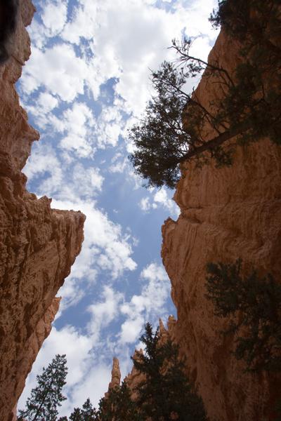 Garfield County, United States