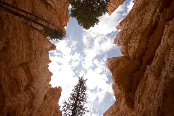 Garfield County, United States