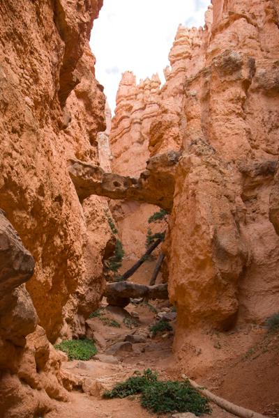 Garfield County, United States