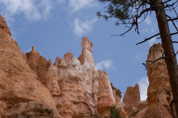 Garfield County, United States