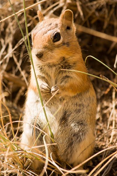 Garfield County, United States