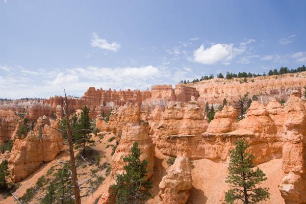 Garfield County, United States