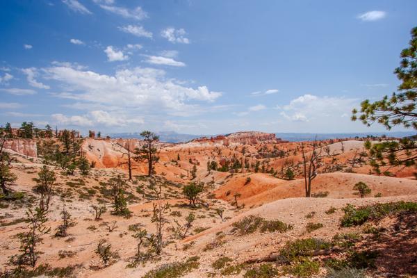Garfield County, United States