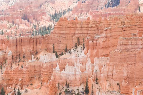 Garfield County, United States