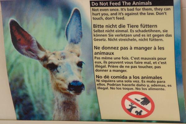 Washington County, United States