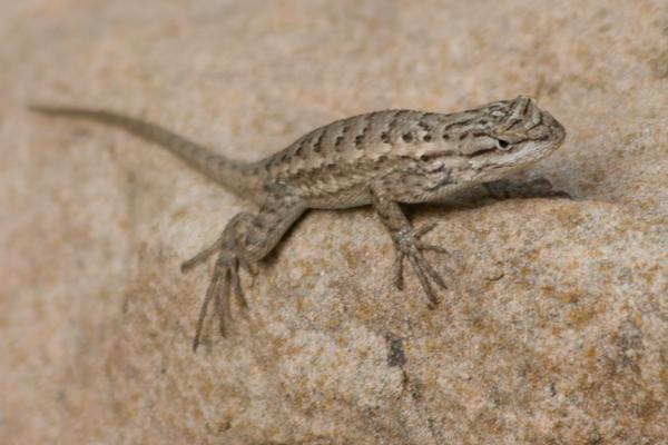 Washington County, United States