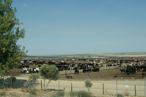 Fresno County, United States